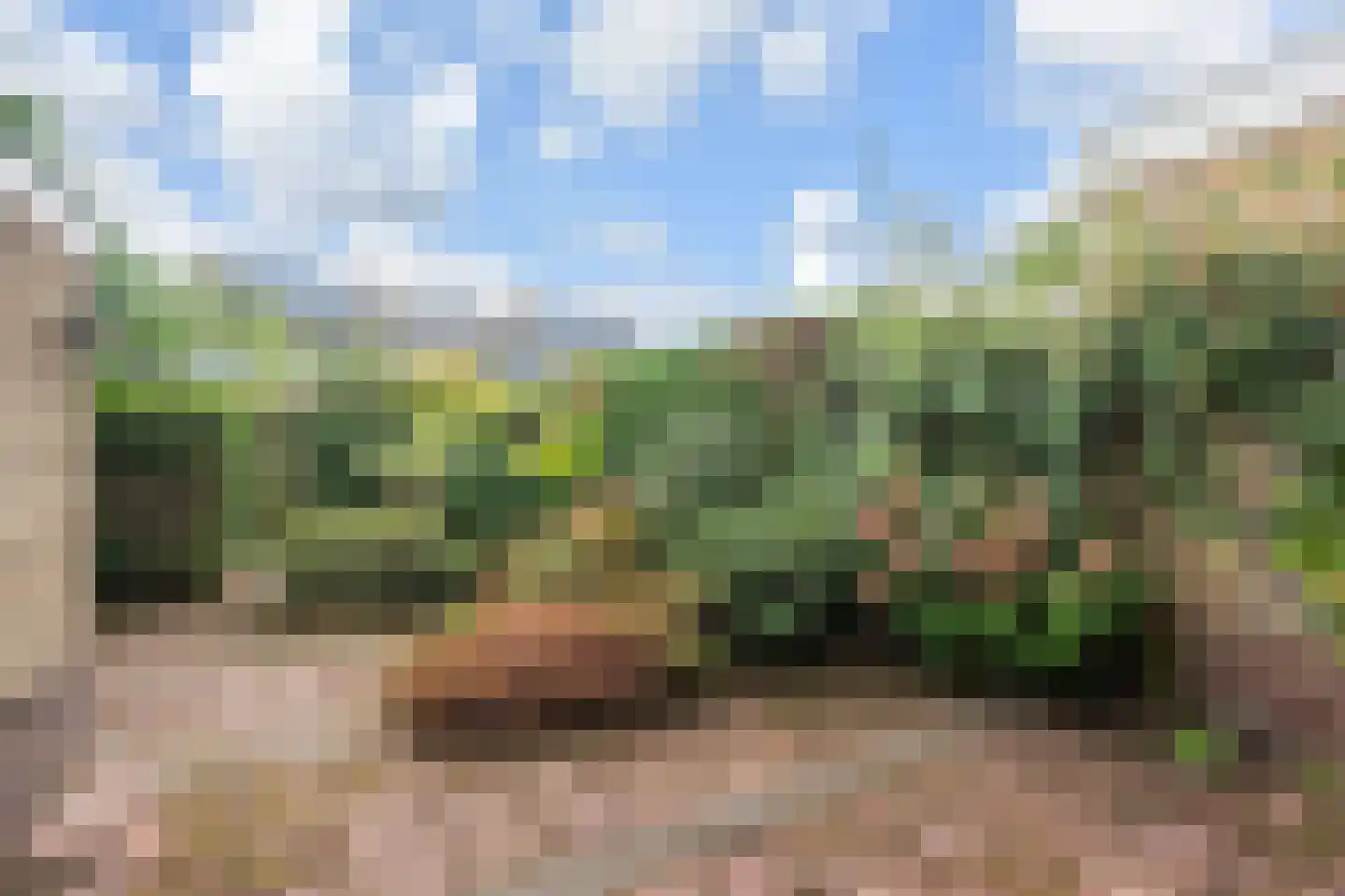 Meester Philipslaan 25 Rijswijk thumbnail 5