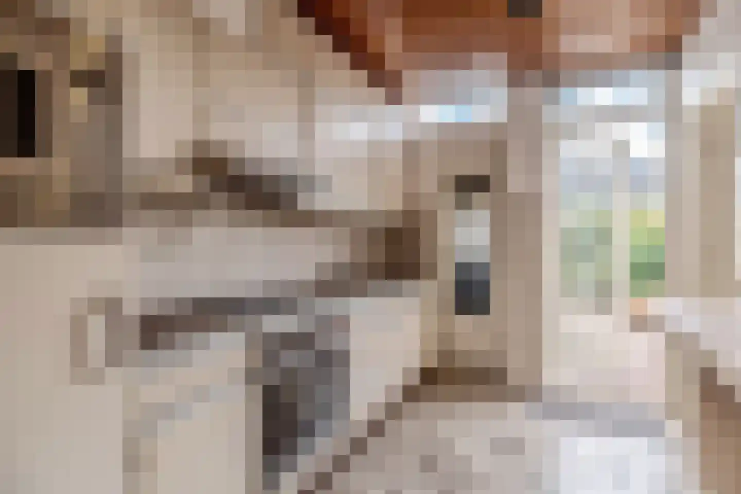 Meester Philipslaan 25 Rijswijk thumbnail 7