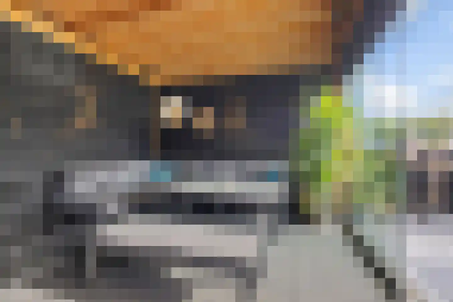 Meester Pieterswijk 101 Elim thumbnail 39
