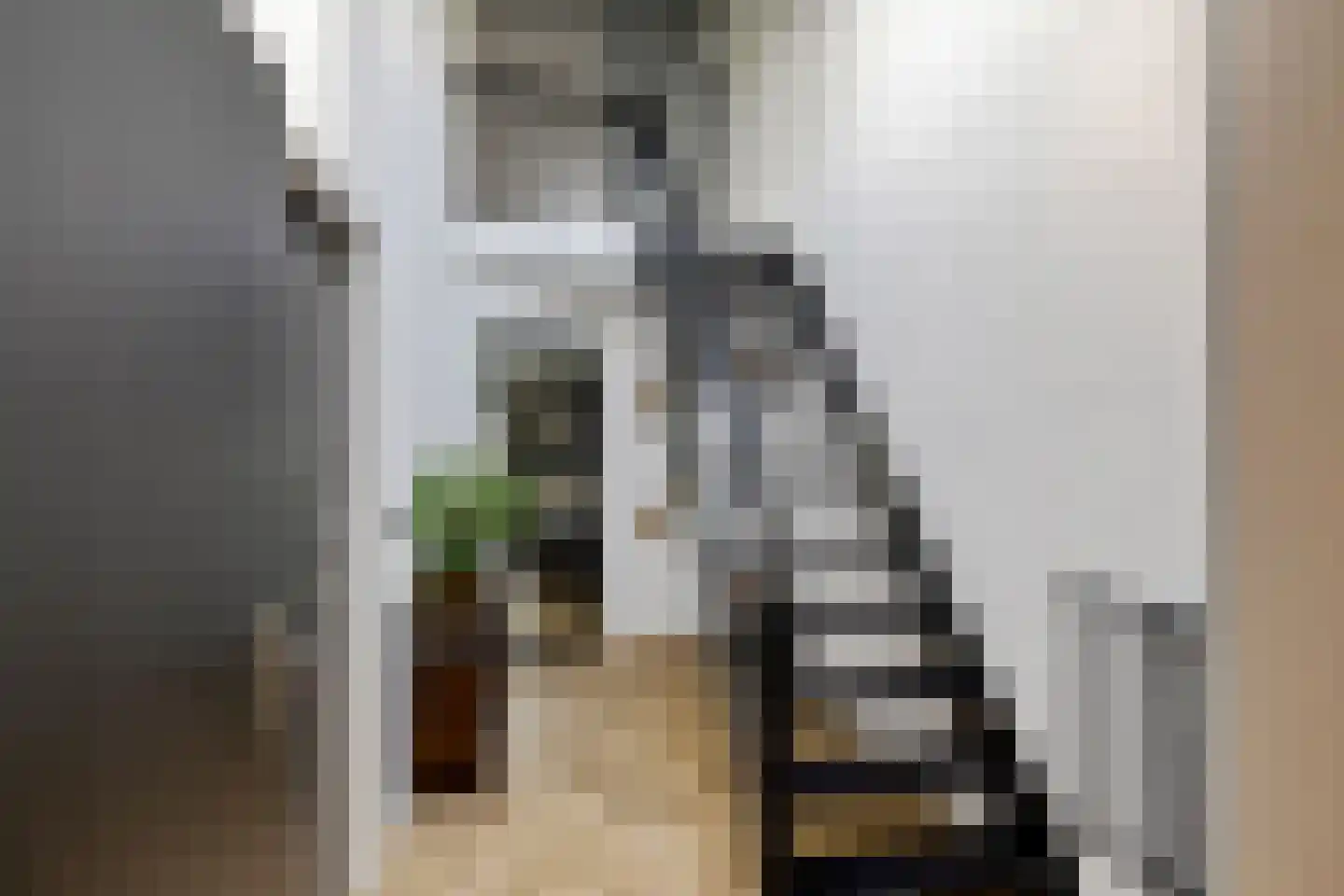 Meester Pieterswijk 101 Elim thumbnail 4