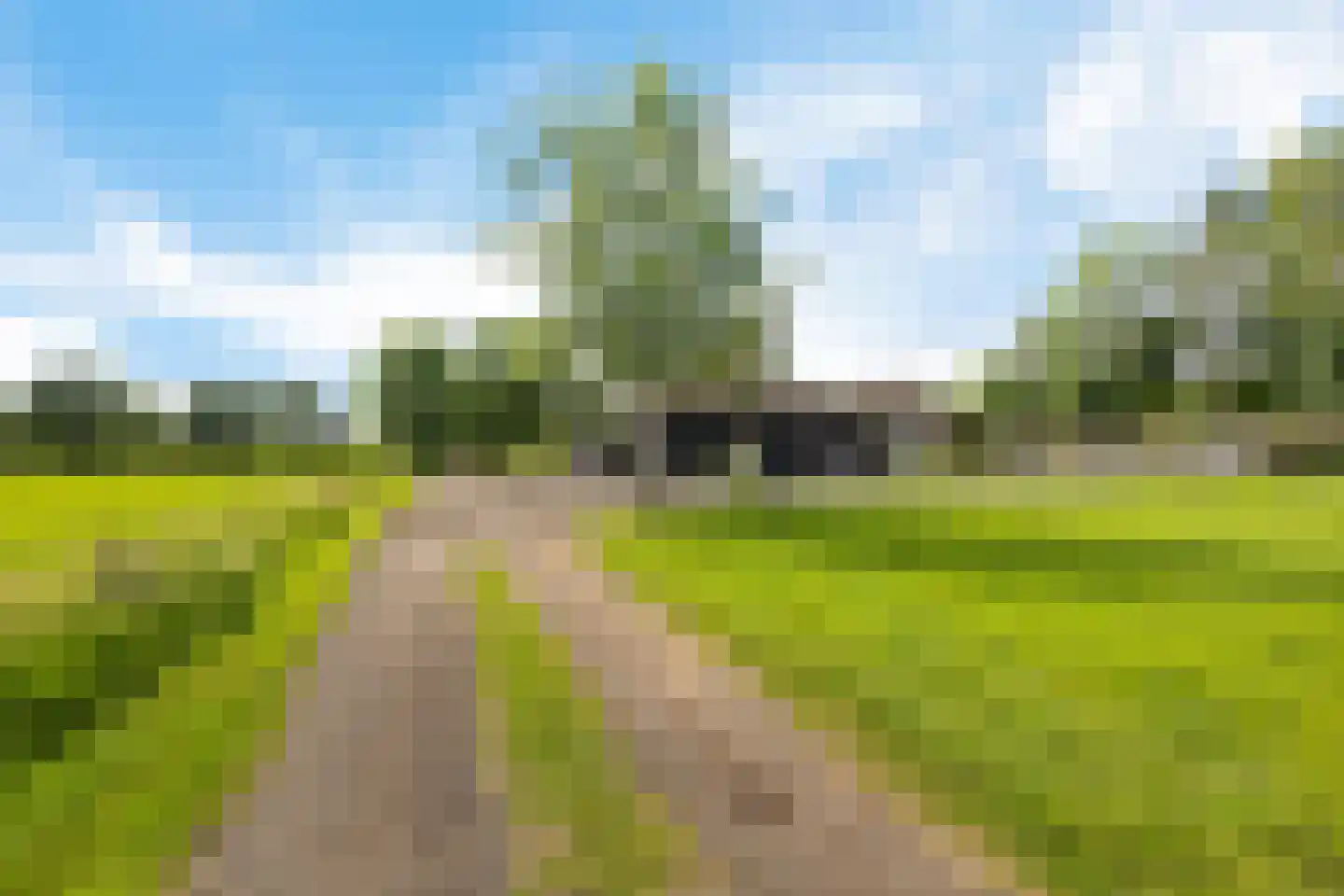 Meester Pieterswijk 101 Elim thumbnail 45