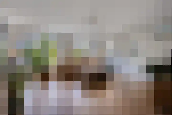 Meester Piparduslaan 13 's-Hertogenbosch thumbnail 10