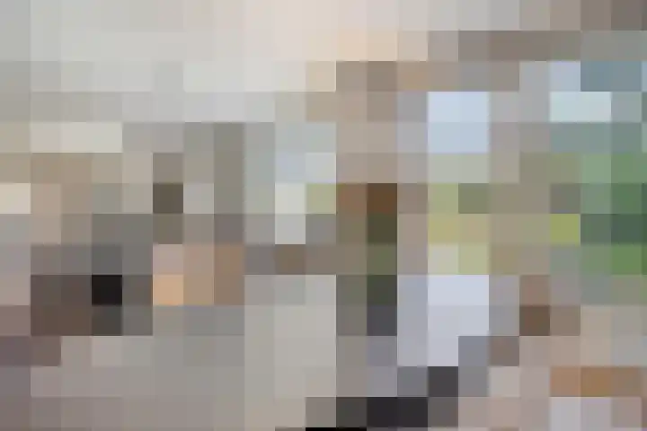 Meester Piparduslaan 13 's-Hertogenbosch thumbnail 13