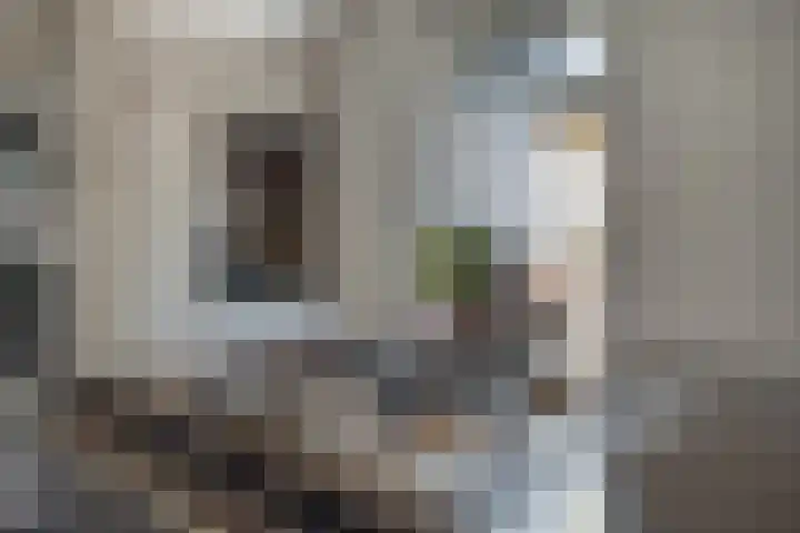 Meester Piparduslaan 13 's-Hertogenbosch thumbnail 18
