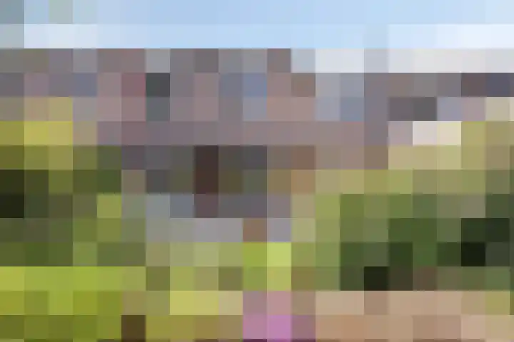 Meester Piparduslaan 13 's-Hertogenbosch thumbnail 27