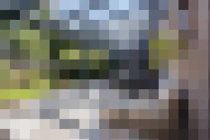 Meester Piparduslaan 13 's-Hertogenbosch thumbnail 28