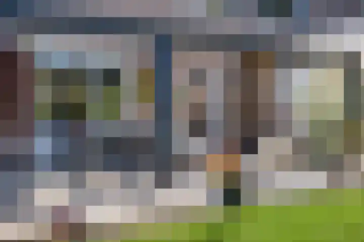 Meester Piparduslaan 13 's-Hertogenbosch thumbnail 29
