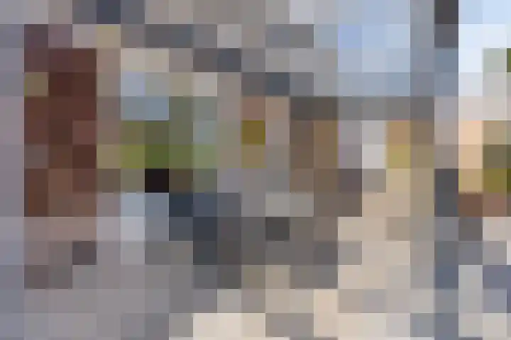 Meester Piparduslaan 13 's-Hertogenbosch thumbnail 30