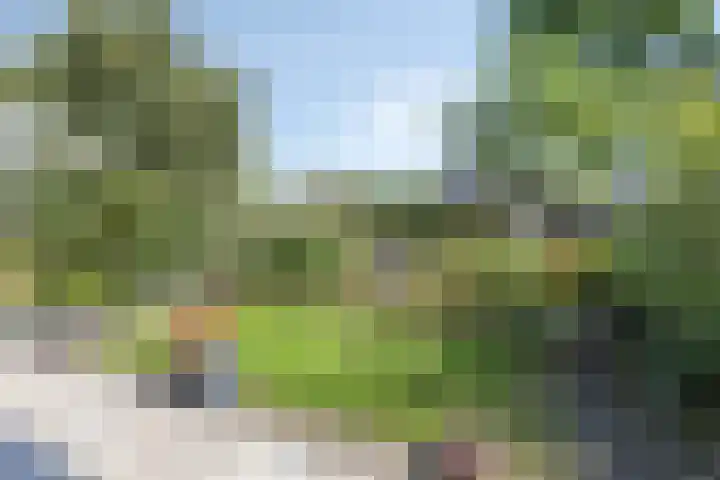 Meester Piparduslaan 13 's-Hertogenbosch thumbnail 32