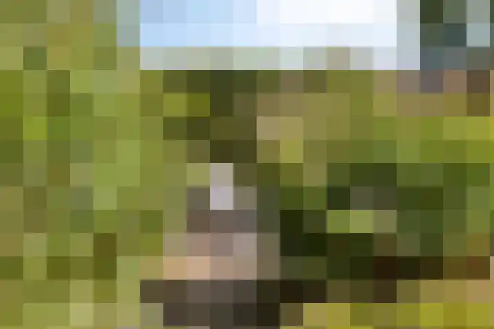 Meester Piparduslaan 13 's-Hertogenbosch thumbnail 33