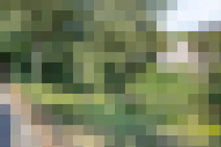 Meester Piparduslaan 13 's-Hertogenbosch thumbnail 37