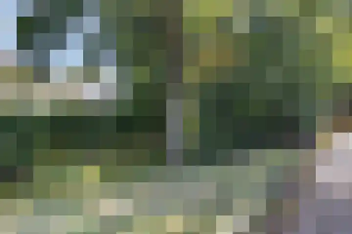 Meester Piparduslaan 13 's-Hertogenbosch thumbnail 38