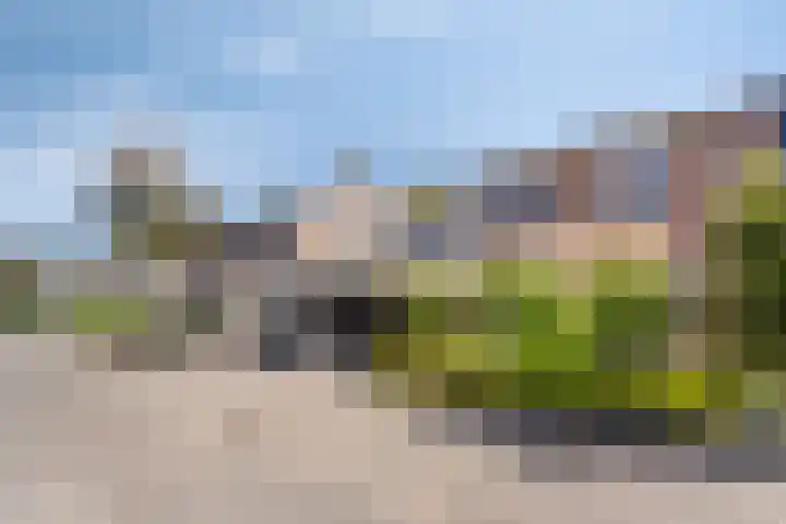 Meester Piparduslaan 13 's-Hertogenbosch thumbnail 6