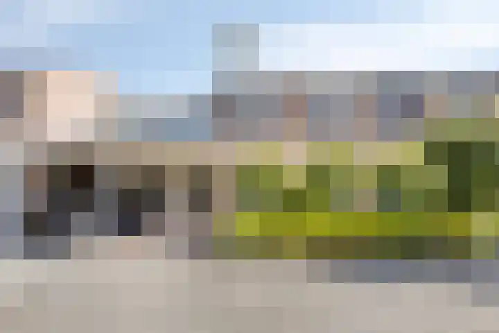 Meester Piparduslaan 13 's-Hertogenbosch thumbnail 7