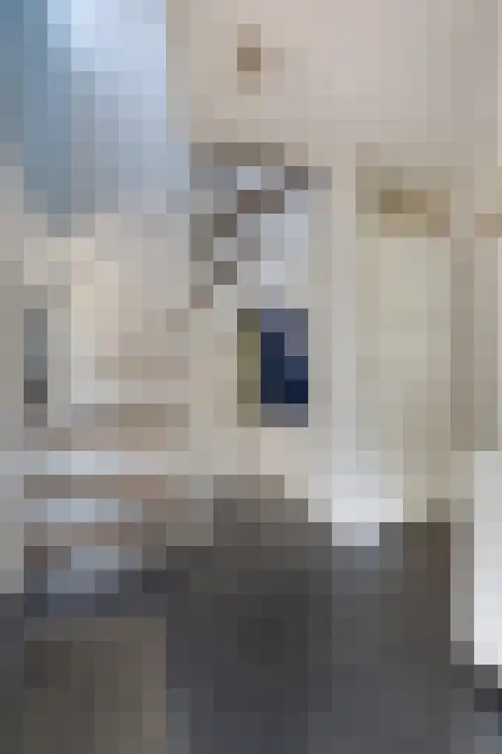 Meester Piparduslaan 13 's-Hertogenbosch thumbnail 8