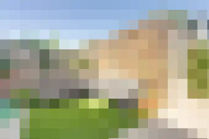 Meester Pluimhof 23 Baarn thumbnail 23