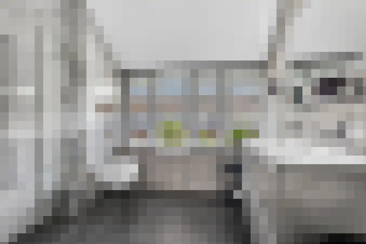 Meester Pluimhof 31 Baarn thumbnail 14