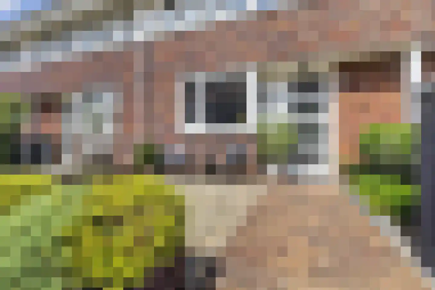Meester Pluimhof 31 Baarn thumbnail 20