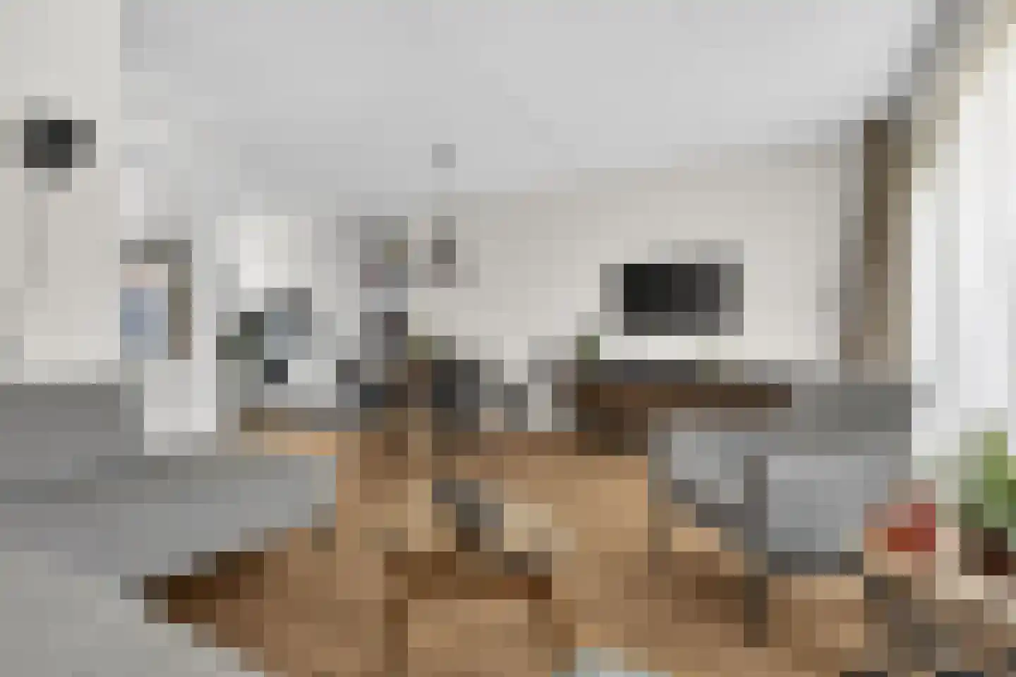 Meester Pluimhof 31 Baarn thumbnail 6