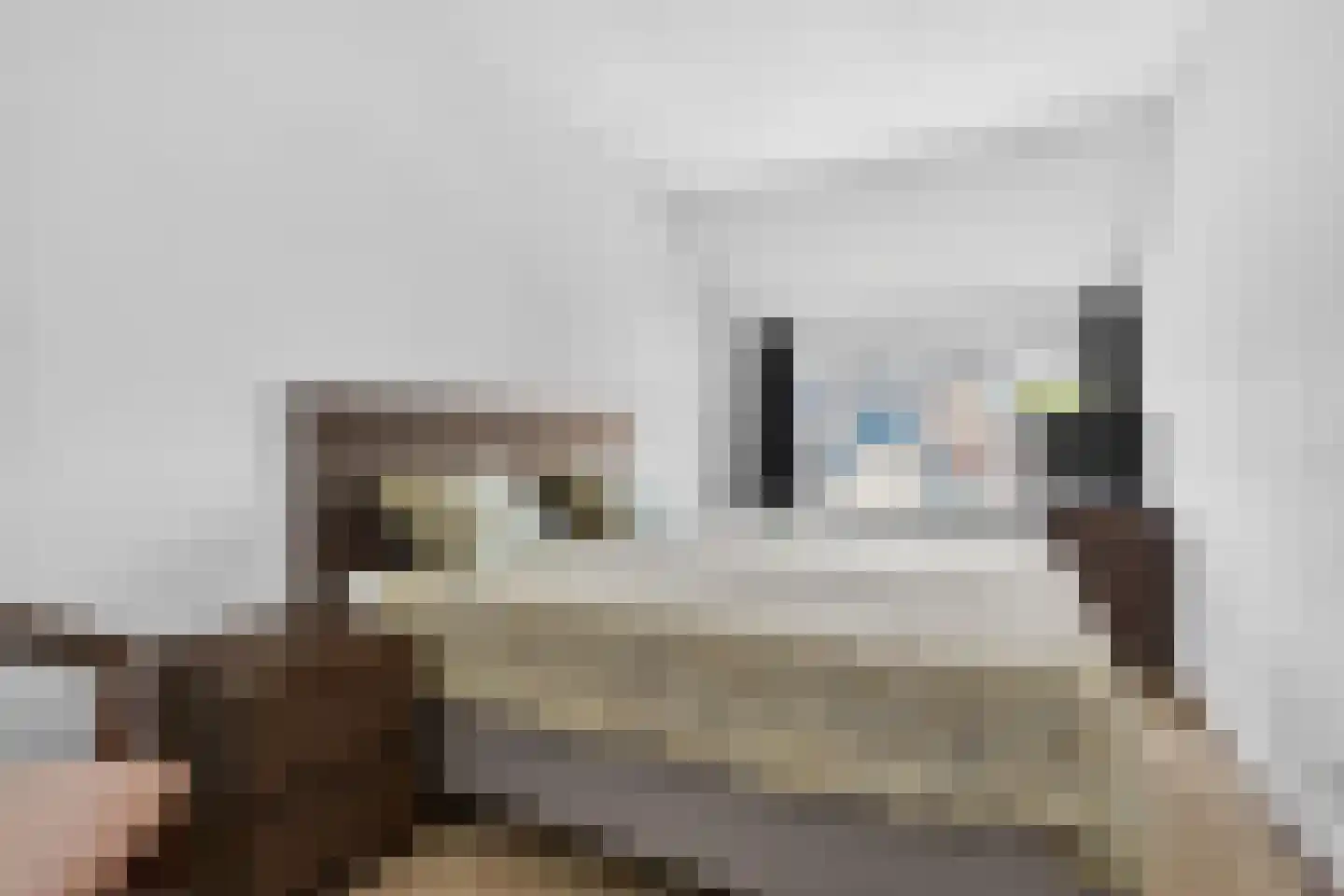 Meester Pluimhof 31 Baarn thumbnail 9