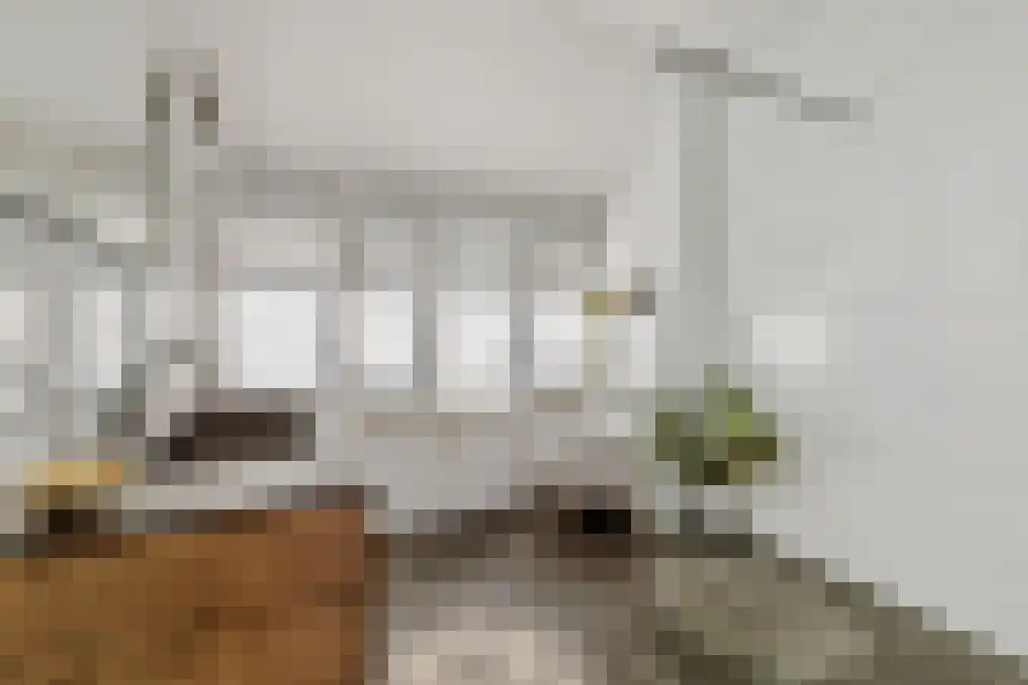 Meester Pluimhof 37 Baarn thumbnail 19