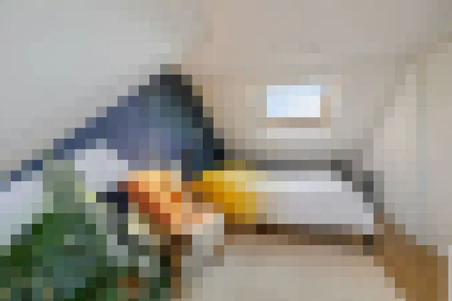 Meester Pluimhof 37 Baarn thumbnail 23
