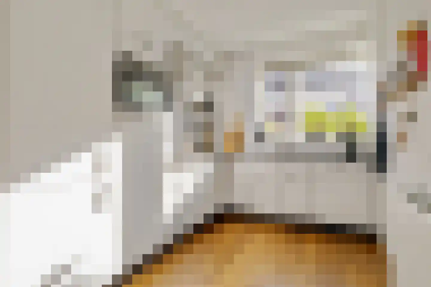 Meester Pluimhof 37 Baarn thumbnail 8