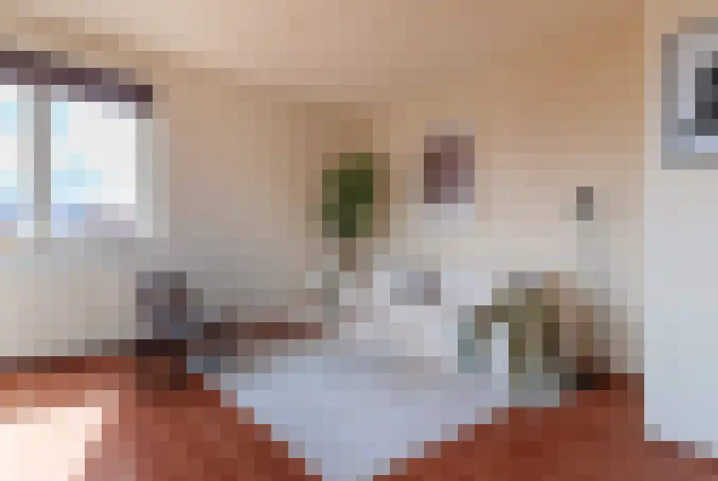 Meester Pluimhof 41 Baarn thumbnail 8