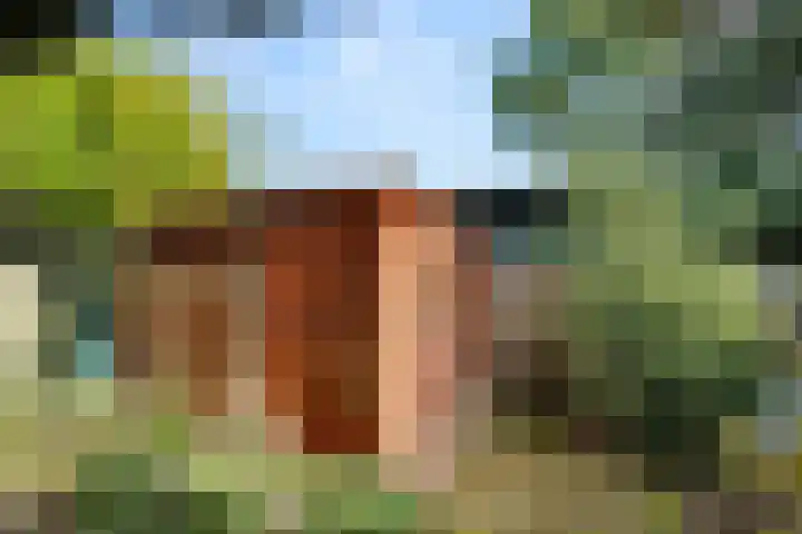 Meester Poldermanweg 9 Renkum thumbnail 31