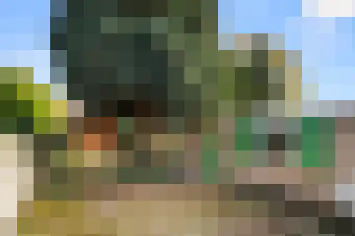 Meester Poldermanweg 9 Renkum thumbnail 32