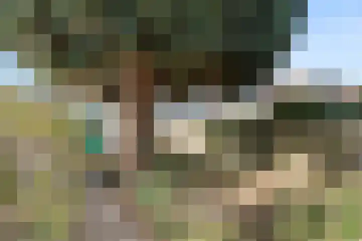 Meester Poldermanweg 9 Renkum thumbnail 33
