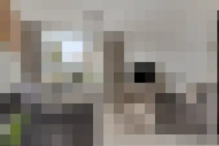 Meester Pontenstraat 15 Leuth thumbnail 11