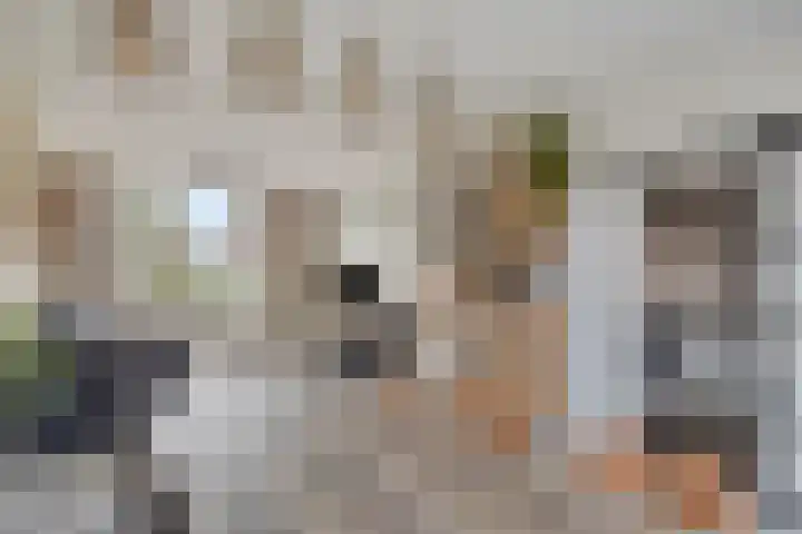 Meester Pontenstraat 15 Leuth thumbnail 14