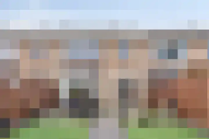 Meester Pontenstraat 15 Leuth thumbnail 33