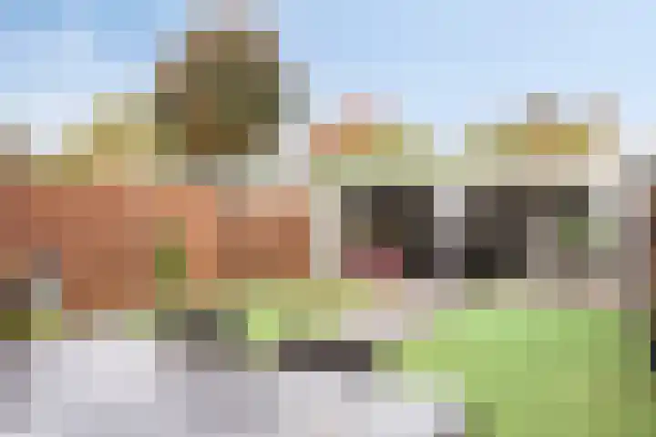 Meester Pontenstraat 15 Leuth thumbnail 36