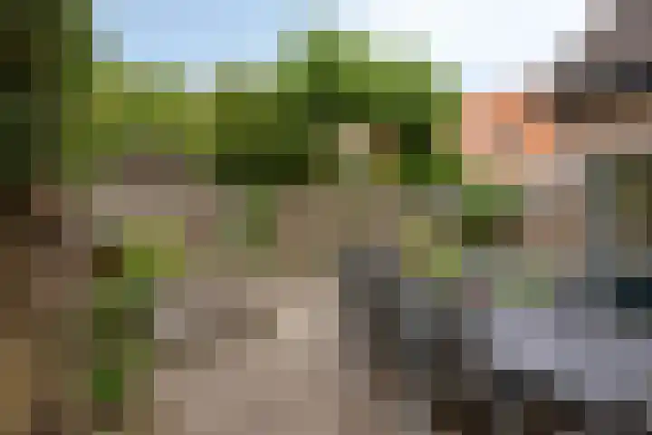 Meester Pontenstraat 33 Leuth thumbnail 33