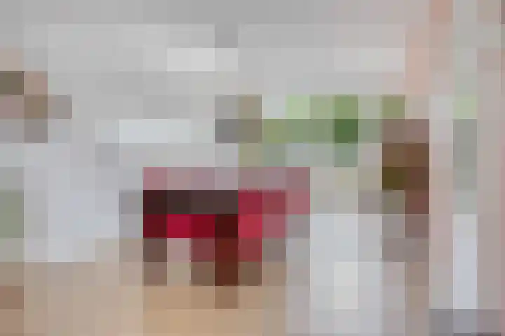 Meester Pontenstraat 33 Leuth thumbnail 7