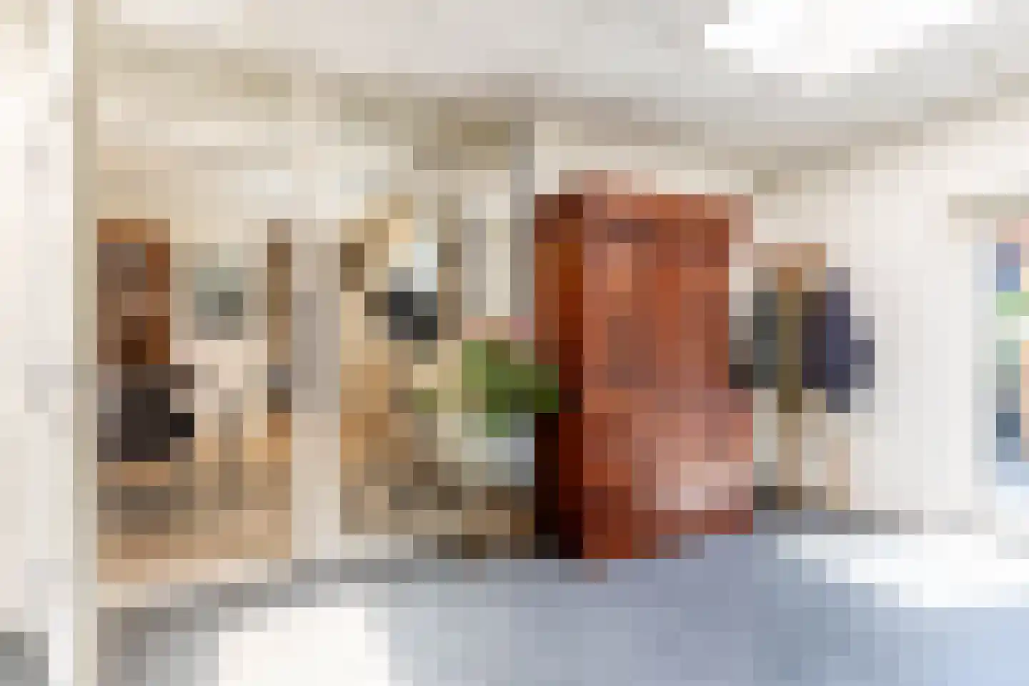 Meester Prinsenstraat 20 Haarsteeg thumbnail 17