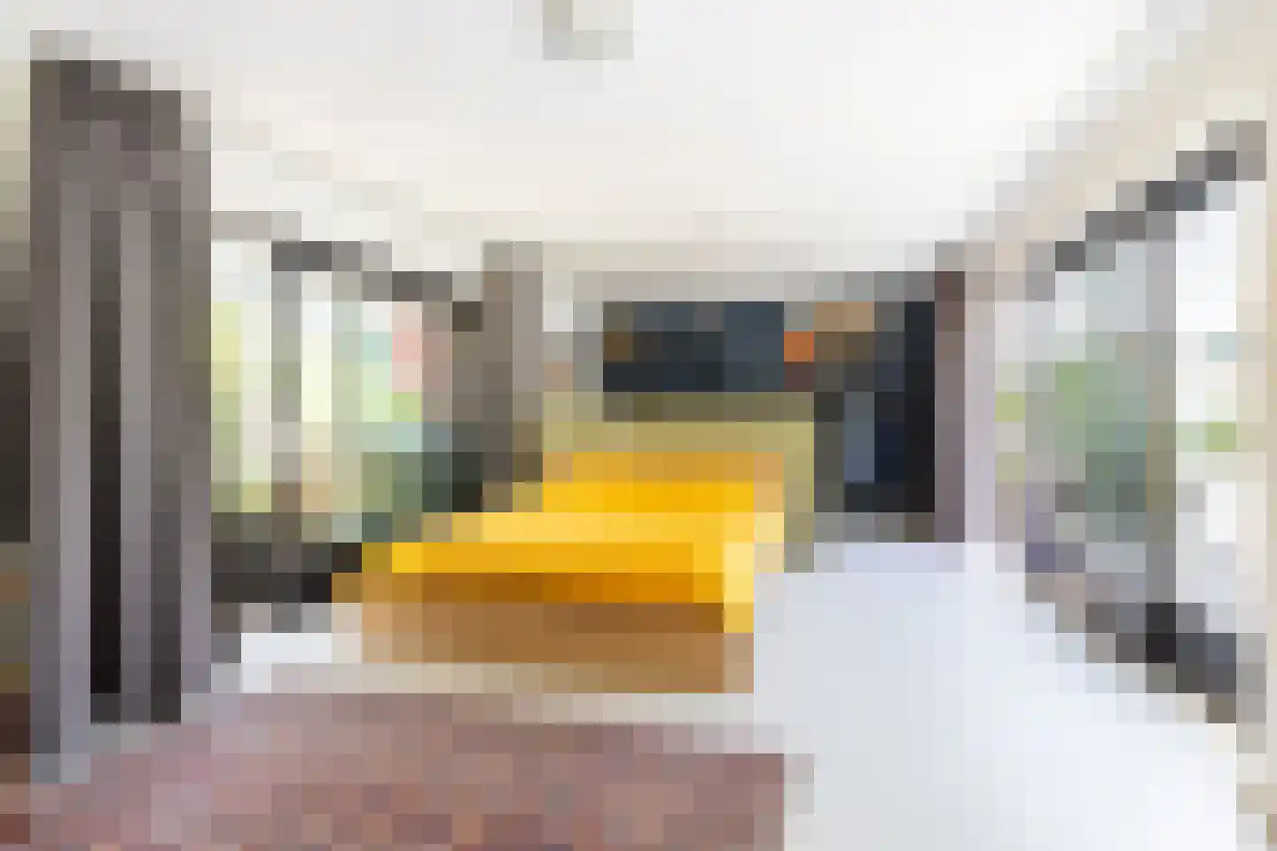 Meester Prinsenstraat 20 Haarsteeg thumbnail 22