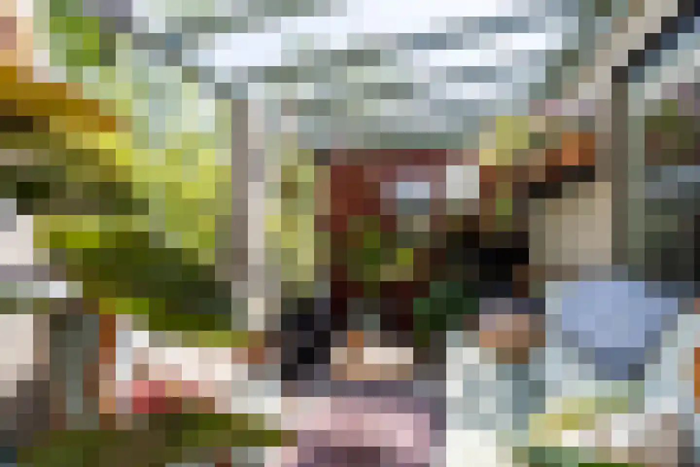 Meester Prinsenstraat 20 Haarsteeg thumbnail 25