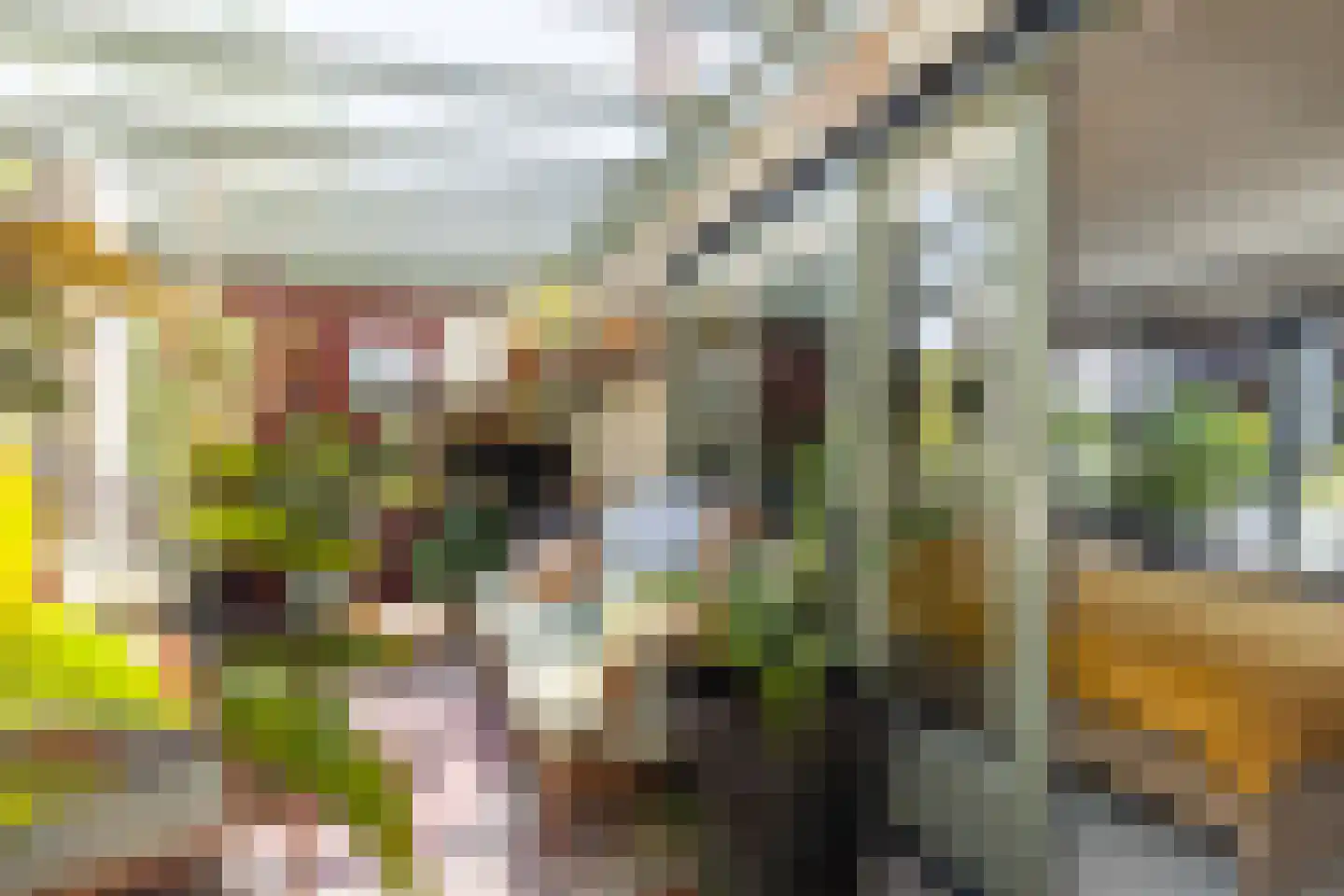 Meester Prinsenstraat 20 Haarsteeg thumbnail 26