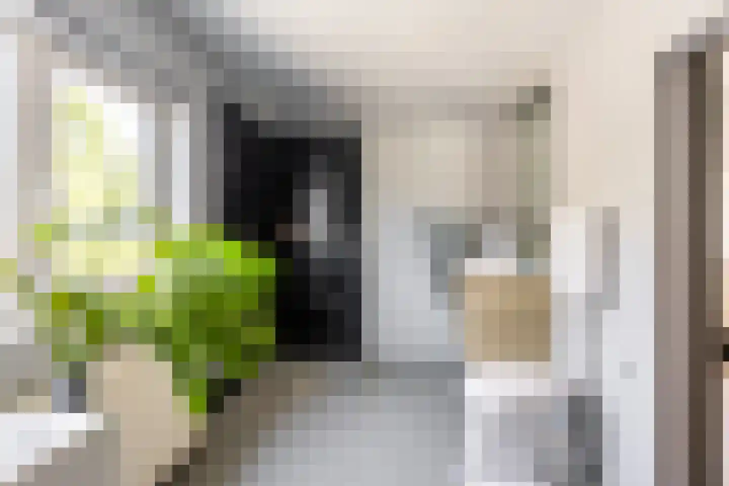 Meester Prinsenstraat 20 Haarsteeg thumbnail 30