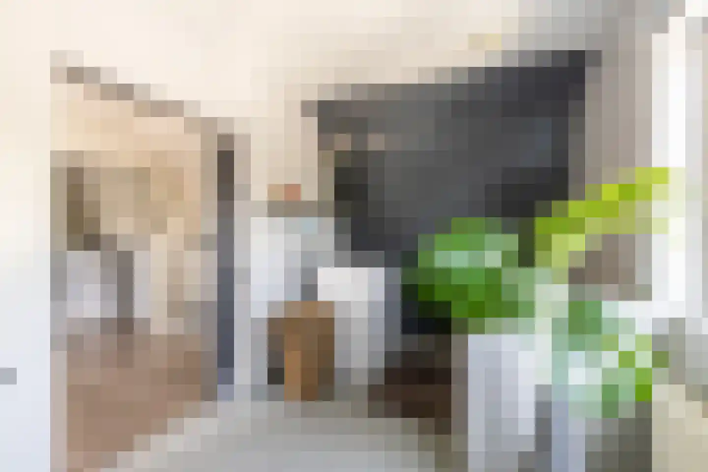 Meester Prinsenstraat 20 Haarsteeg thumbnail 31