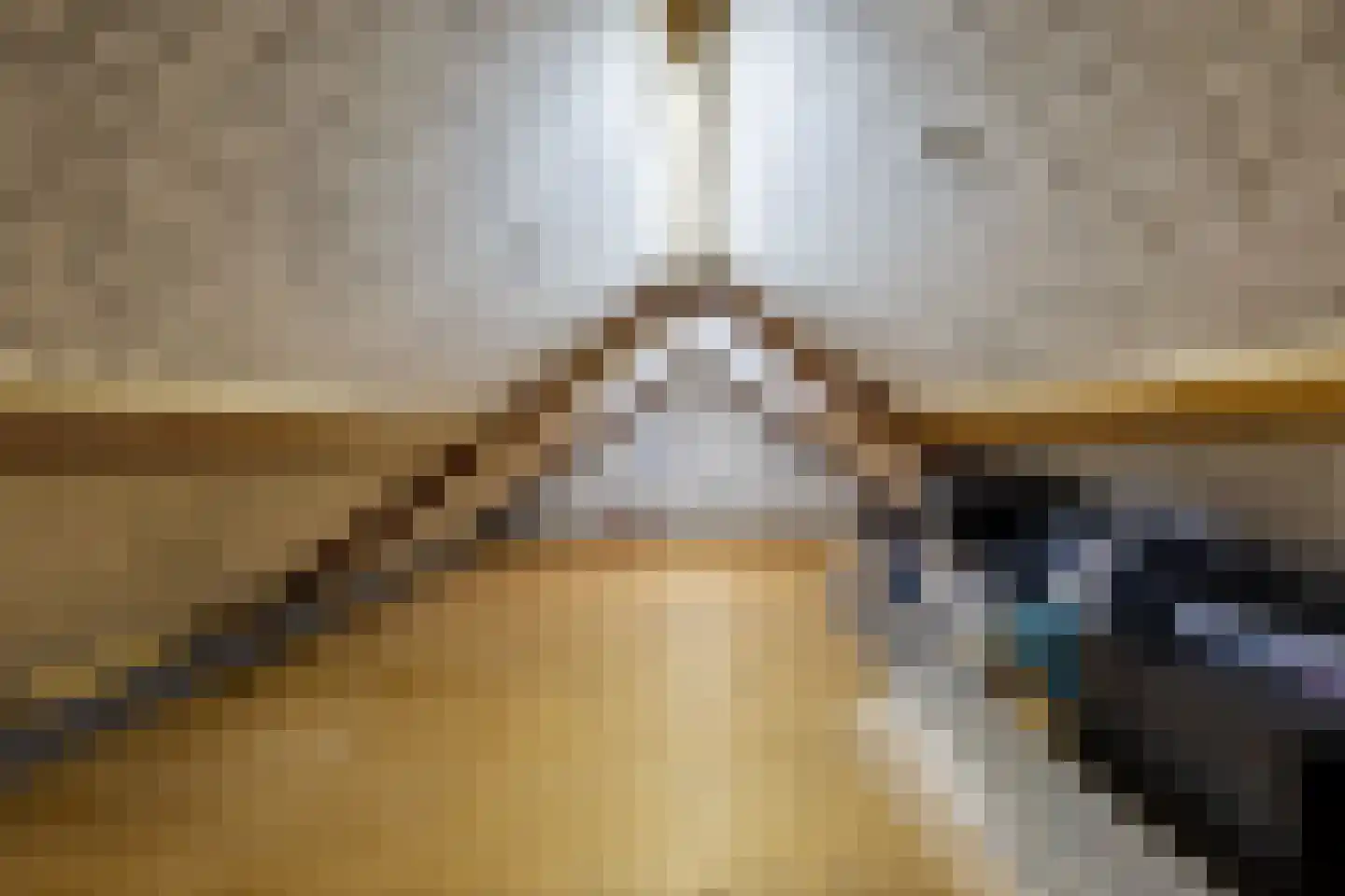 Meester Prinsenstraat 20 Haarsteeg thumbnail 35