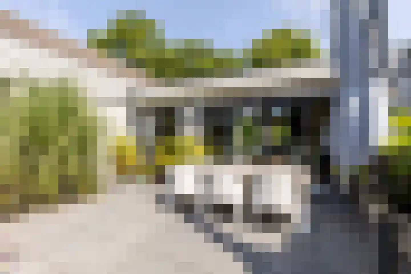 Meester Prinsenstraat 20 Haarsteeg thumbnail 40