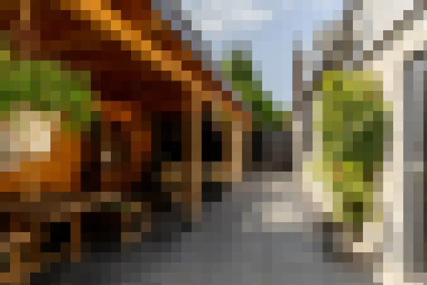 Meester Prinsenstraat 20 Haarsteeg thumbnail 43