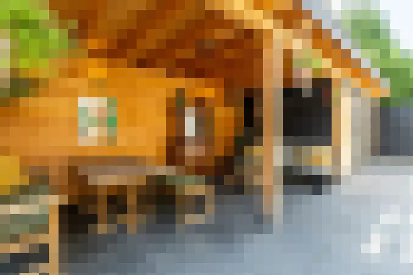 Meester Prinsenstraat 20 Haarsteeg thumbnail 45