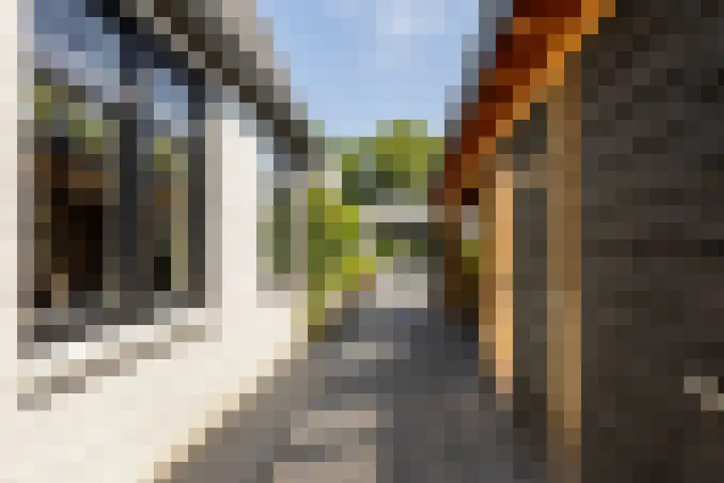 Meester Prinsenstraat 20 Haarsteeg thumbnail 46