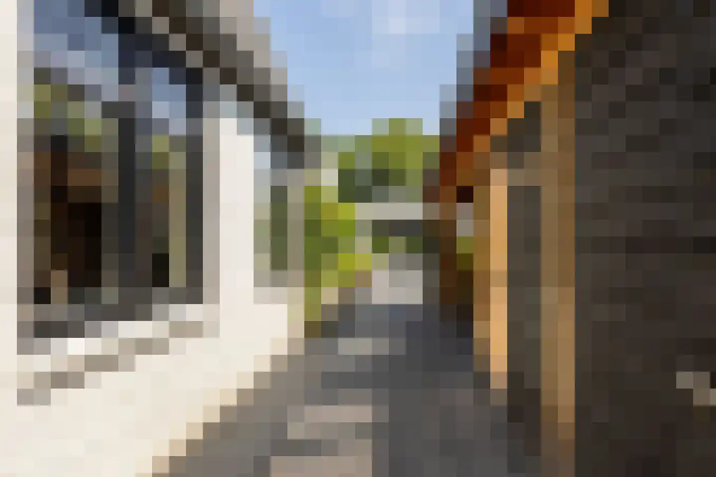 Meester Prinsenstraat 20 Haarsteeg thumbnail 46