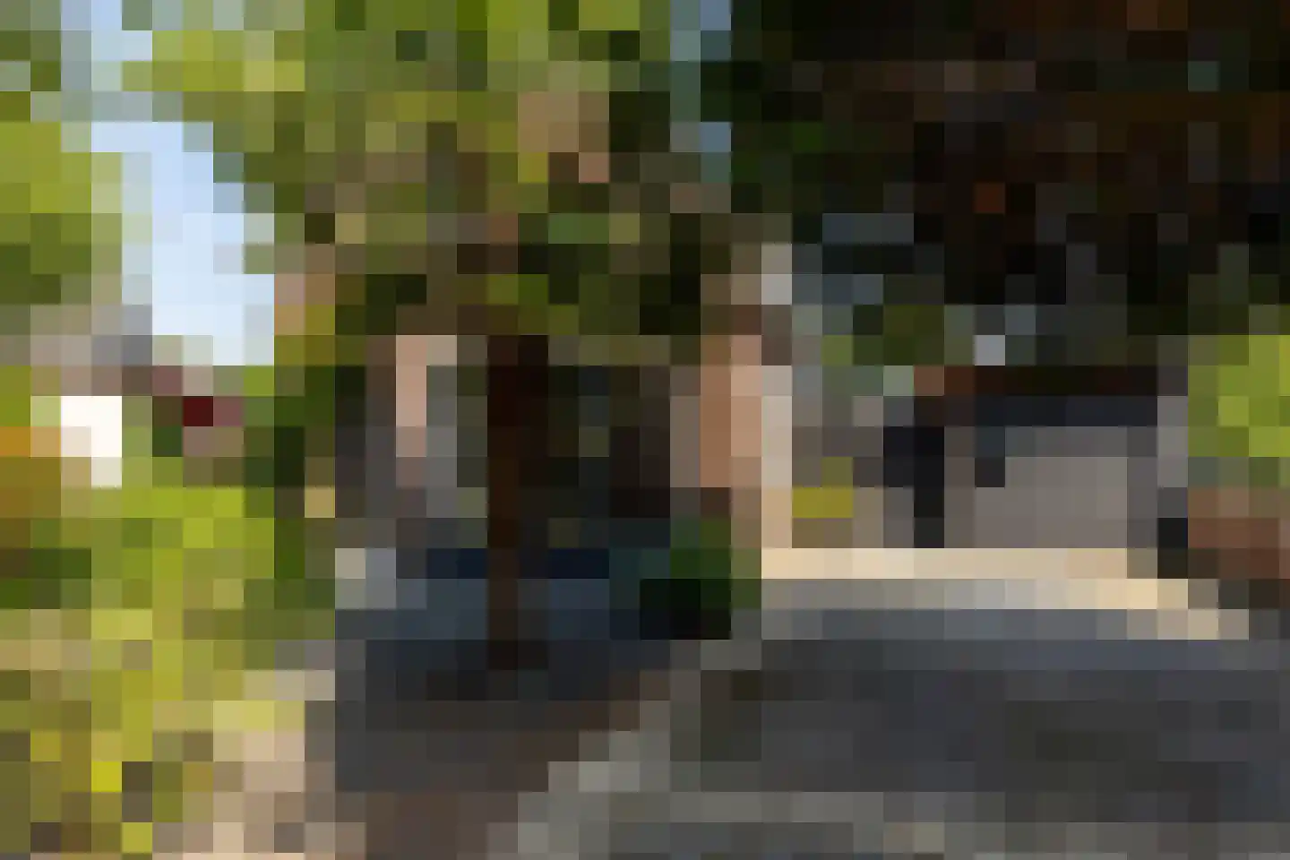 Meester Prinsenstraat 20 Haarsteeg thumbnail 49